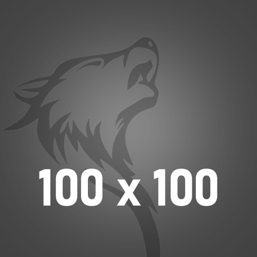 100x100