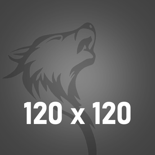 120x120