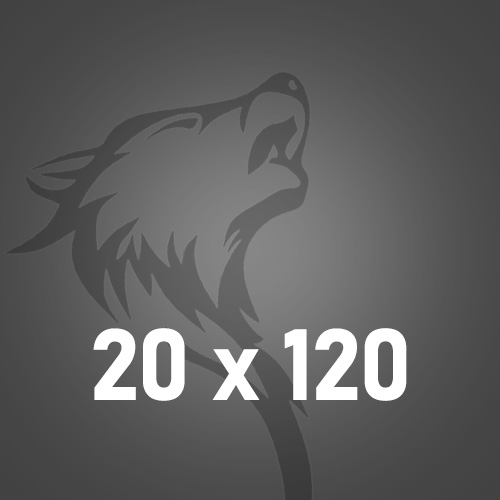 20x120