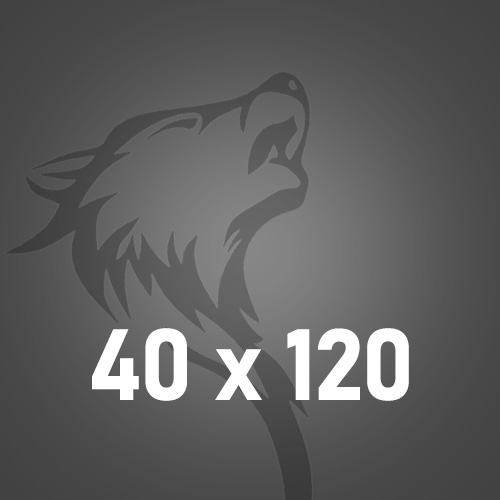 40x120
