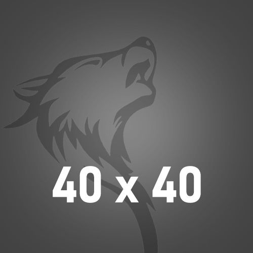 40x40