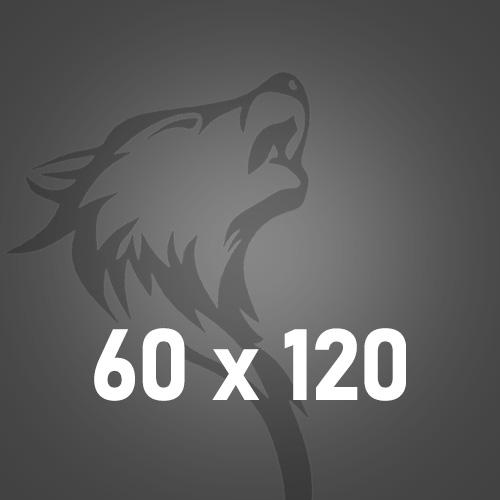 60x120