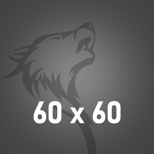 60x60