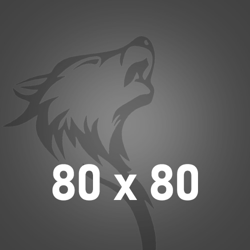 80x80